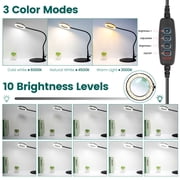 KIRKAS Magnifying Glass with Light and Stand, 3 Color Modes Stepless Dimmable LED Lighted Desk Lamp, Hands Free Flexible Gooseneck Magnifier with Light for Craft Hobby Painting Sewing Close Work