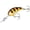 Humble Bee, variant on Bandit 300 Series