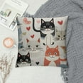 thumbnail image 2 of COMIO  Throw Pillow Cover Funny Cats and Milk Bottle Decorative Pillow Cases Home Decor Square Pillowcases, 2 of 5