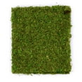 thumbnail image 4 of SuperMoss InstantGreen Moss Mat - 4 x 1.5 feet, 4 of 10