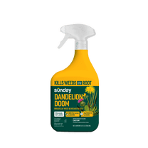 Sunday Dandelion Doom Broadleaf Herbicide Spot Treatment, 32 fl oz, Lawn Safe Weed Killer