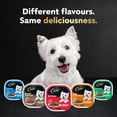 thumbnail image 3 of CESAR Classic Loaf in Sauce Wet Dog Food Delicacies Variety, Trays 24 Pack, 3 of 9