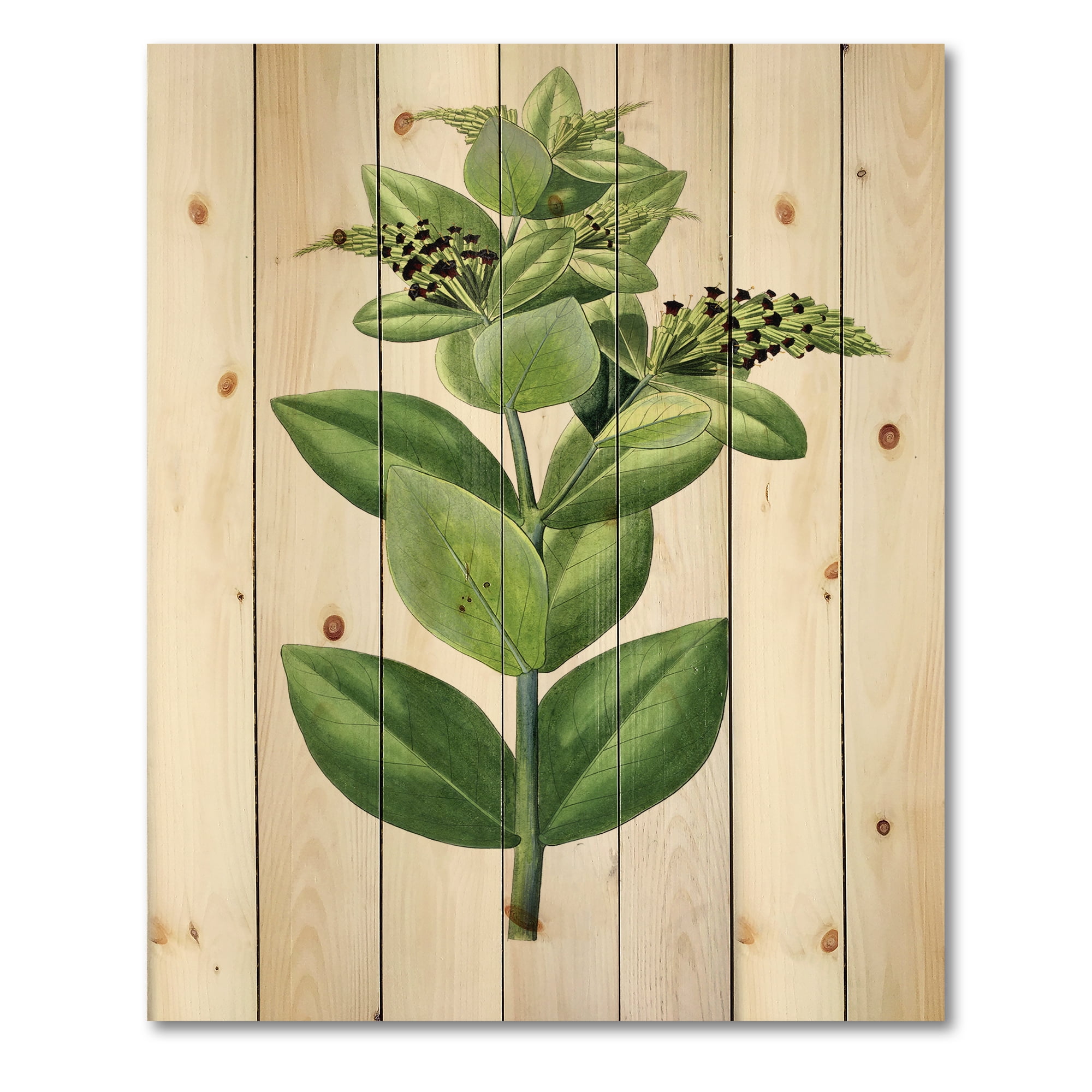 Designart 'Ancient Green Leaves Plants VI' Traditional Print on Natural Pine Wood