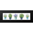 thumbnail image 2 of Tava Studios 18x8 Black Modern Framed Museum Art Print Titled - Herbs In A Row, 2 of 5