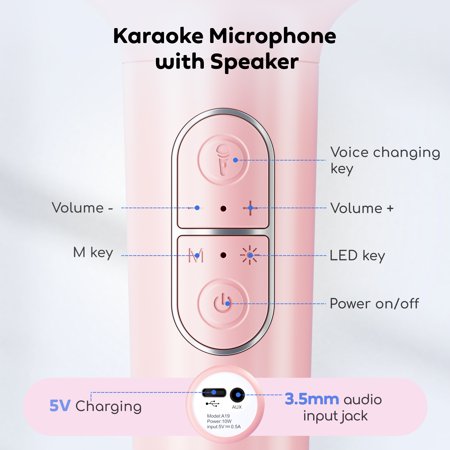 Handled Karaoke Machine Portable Bluetooth Speaker for Home Party & Gifts for Adults, Kids, Boys & Girls Pink