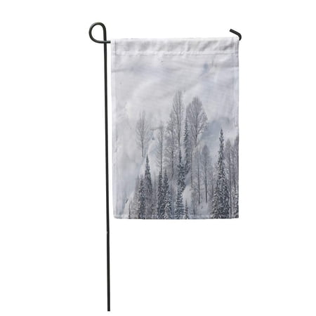 SIDONKU Wonderful Winter Scenery Amazing Landscape in The Mountains Fir Garden Flag Decorative Flag House Banner 28x40 inch