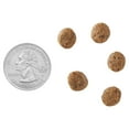 thumbnail image 6 of Pure Balance Grain-Free Poultry Free Lamb & Fava Bean Recipe Dry Dog Food, 24 lb, 6 of 14
