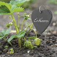 thumbnail image 2 of set De 5 Planches De Plantes En Ardoise En Forme De Cur, Rsistantes Aux Intempries Et Rutilisables, Tiquettes Individuelles Pour Plantes Et Herbes, 2 of 5