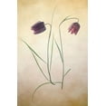 thumbnail image 2 of Stalus, Judy 23x32 Black Ornate Wood Framed with Double Matting Museum Art Print Titled - Fritillare I, 2 of 4