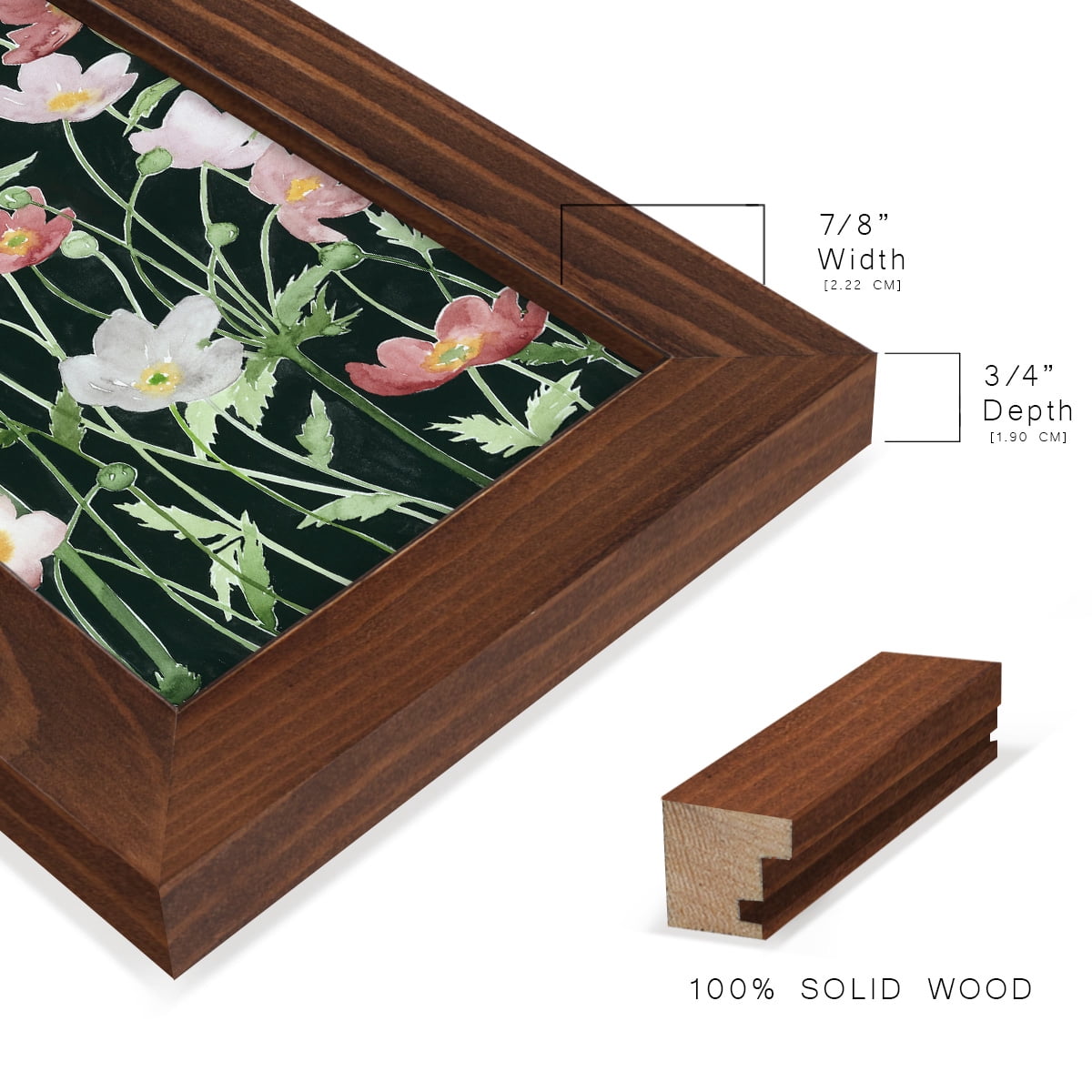 Anemone Dance I -Framed Print w/glass-Chestnut