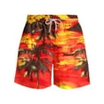 thumbnail image 4 of Axiiglly Beach Shorts for Men Plus Size Summer Shorts Casual Floral Printed Board Shorts Elastic Waist Vacation Swim Trunks Comfy Lightweight Hawaiian Shorts with Pockets, 4 of 5