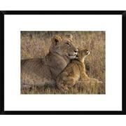 المعرض العالمي Henry Jager Baby Lion مع فن الجدار المؤطر الأم