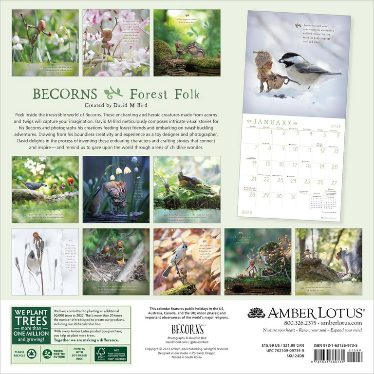 Woodland Scenes 2024 Square Wall Calendar 9781804422908 - Free Tracked  Delivery