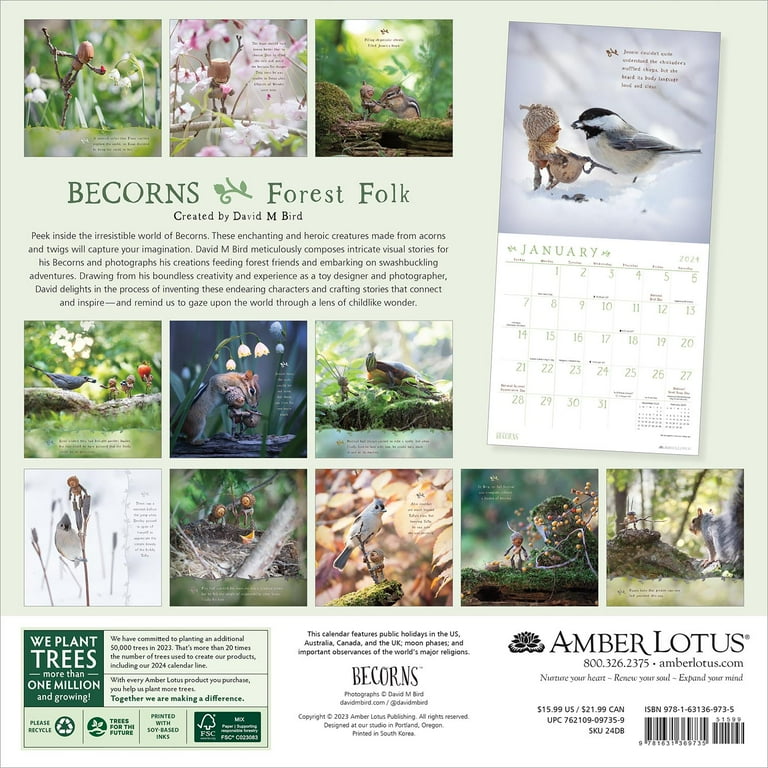 Woodland Scenes 2024 Square Wall Calendar 9781804422908 - Free Tracked  Delivery