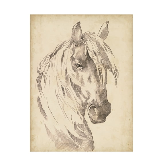 Jennifer Paxton Parker 'Horse Portrait Sketch I' Canvas Art