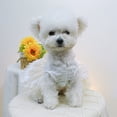 thumbnail image 5 of Guiexla Pet Dress Breathable Comfortable Dog Princess Dress with 3D Flower Decoration And Mesh Splicing Pet Supplies, 5 of 7