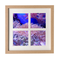 thumbnail image 1 of Ocean Coral Science Nature Picture Pantalla de escritorio de pared de marco 4 aperturas, 1 of 4