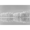 thumbnail image 3 of Jordache 18x13 Black Modern Framed Museum Art Print Titled - Snow Trees Along the Lake, 3 of 5