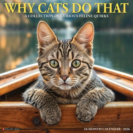 Why Cats Do That 2026 Wall Calendar, (Paperback)
