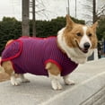 thumbnail image 2 of Paokuoon Pet Physiological Suit Pet Suit Stripe Printing Dog Recovery Clothes, 2 of 7
