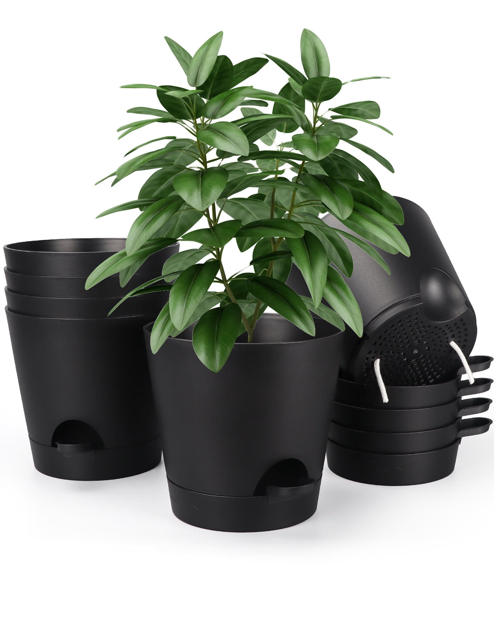 6 Inch Plant Pots Set of 6, Plastic Planter with Drain Holes and Removable Black Flower Pot with Watering Lip for Indoor House Plants - Walmart.com
