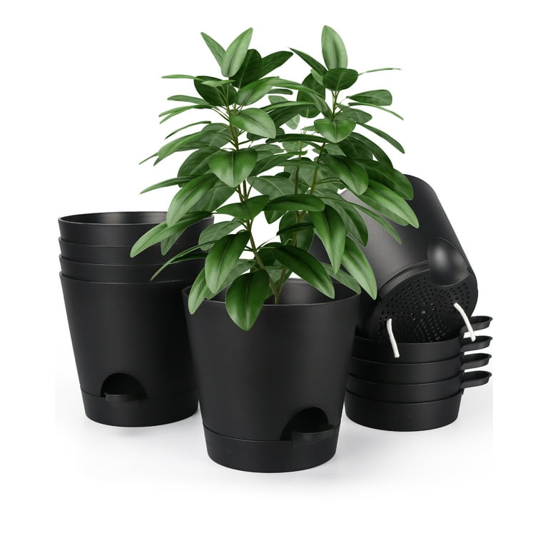 SPEPLA Plant Pots Set of 6, 6 Inch Self Watering Planters with Drainage  Holes and Saucers, Flower Pot with Watering Lip for Indoor Outdoor All  House