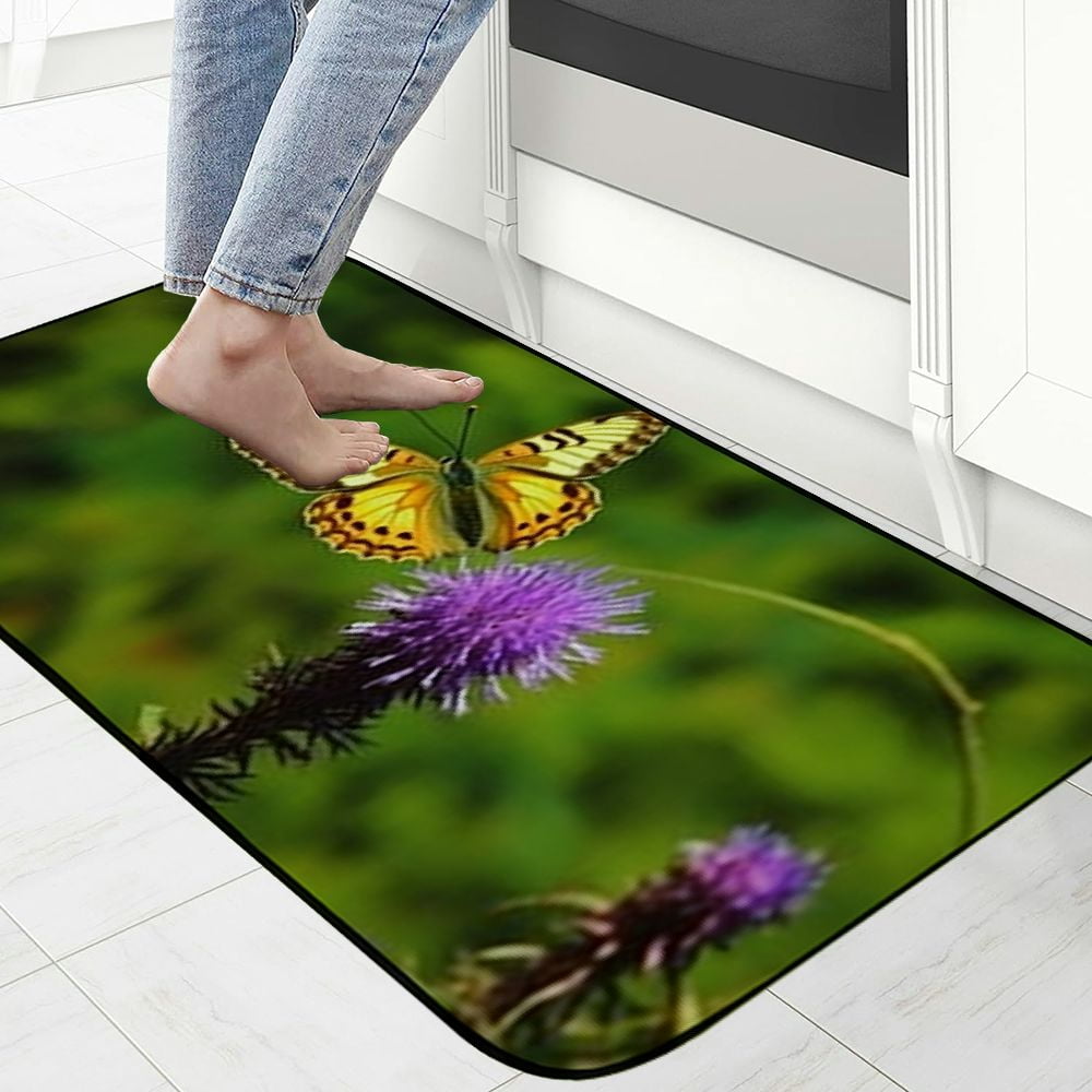 PHYHOO Decorative Door Mat, Door Mat with Non-Slip Rubber Backing, Easy Cleaning, Traps Dirt, Rug for Entry, Patio, Garage - Butterfly Nature Close Butterfly Pointed Flower 19.68*47.24 in