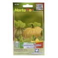 thumbnail image 1 of Semillas Calabaza Dulce Hortaflor Naranja 9 Gr, 1 of 3