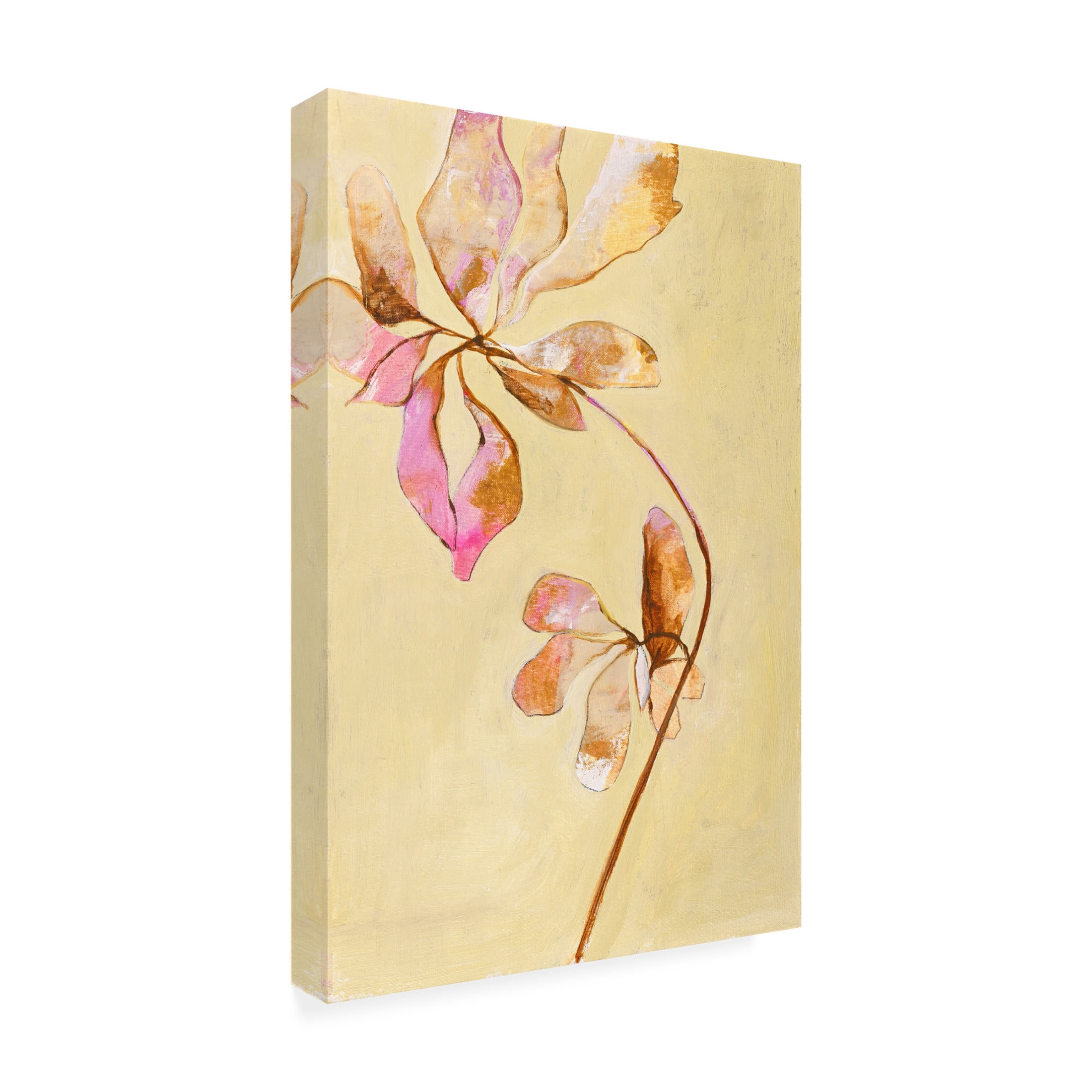 Canvas Wall Art - Design Fabrikken 'Darling Pink' Wall Art for Living Room, Bedroom, or Office Décor by Trademark Fine Art - 16 x 24 Inches