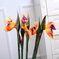 thumbnail image 6 of Cheers.US Artificial Flower Bird of Paradise Artificial Flowers Strelitzia Stems for Home Office Decoration, 6 of 7