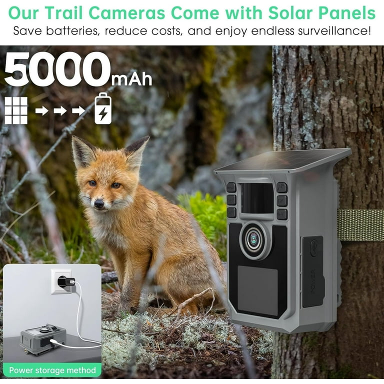 Top practical ways to save battery on trail camera