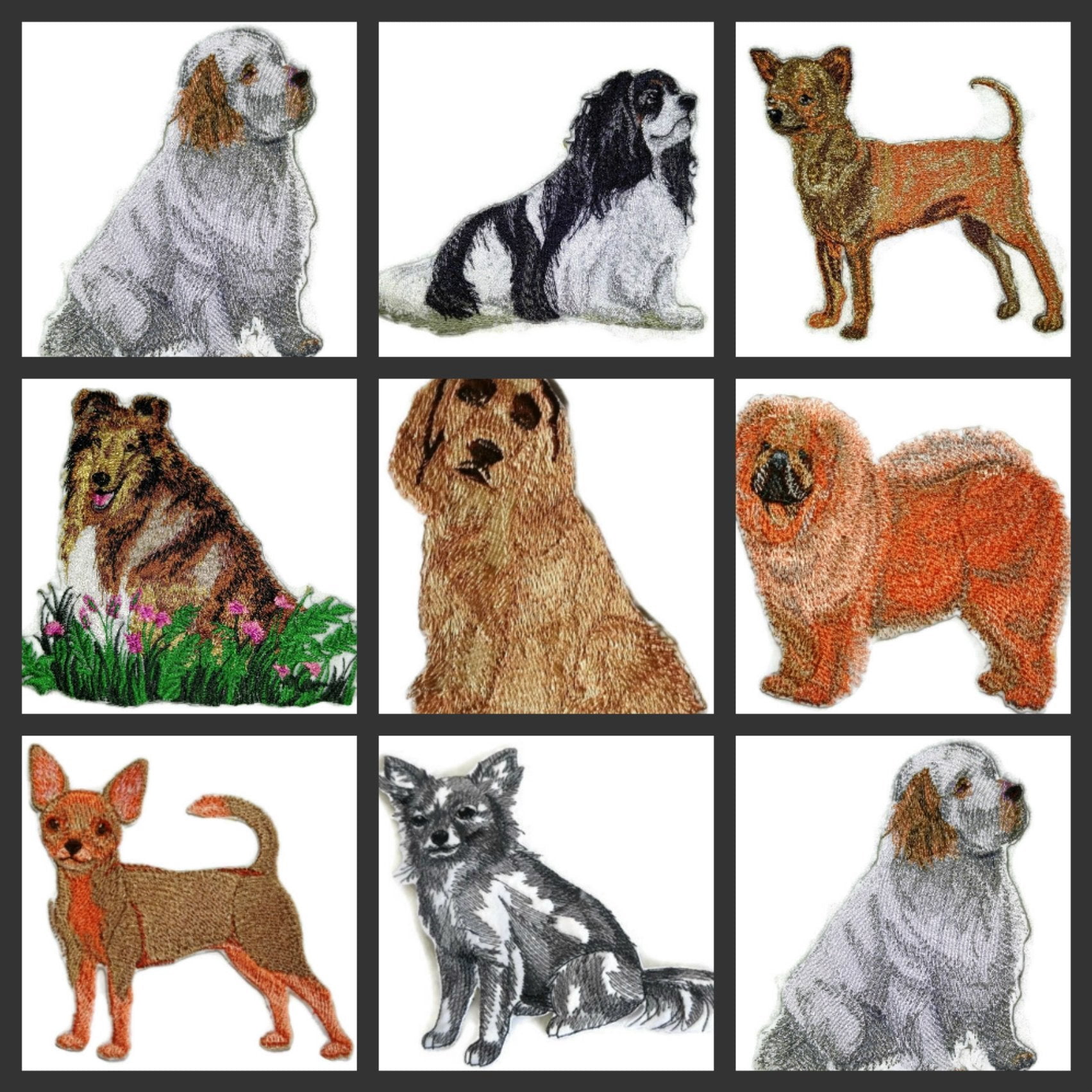 Custom Dog Portraits[Border Collie] Embroidered Iron On/Sew Patch [5" x 4.5]]