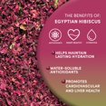 thumbnail image 4 of Té de hibisco orgánico Worldwide Botanicals 227 g, hojas sueltas, 4 of 7