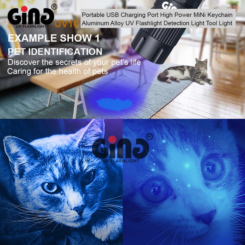 GING UV FLASHLIGHT 395nm Flashlight LED High-Power USB Rechargeable Mini Keychain UV Torch for Glue,Lamp -Spot Scorpions, Pet Urine, Counterfeit Money, Resin…(UV10-395nm)