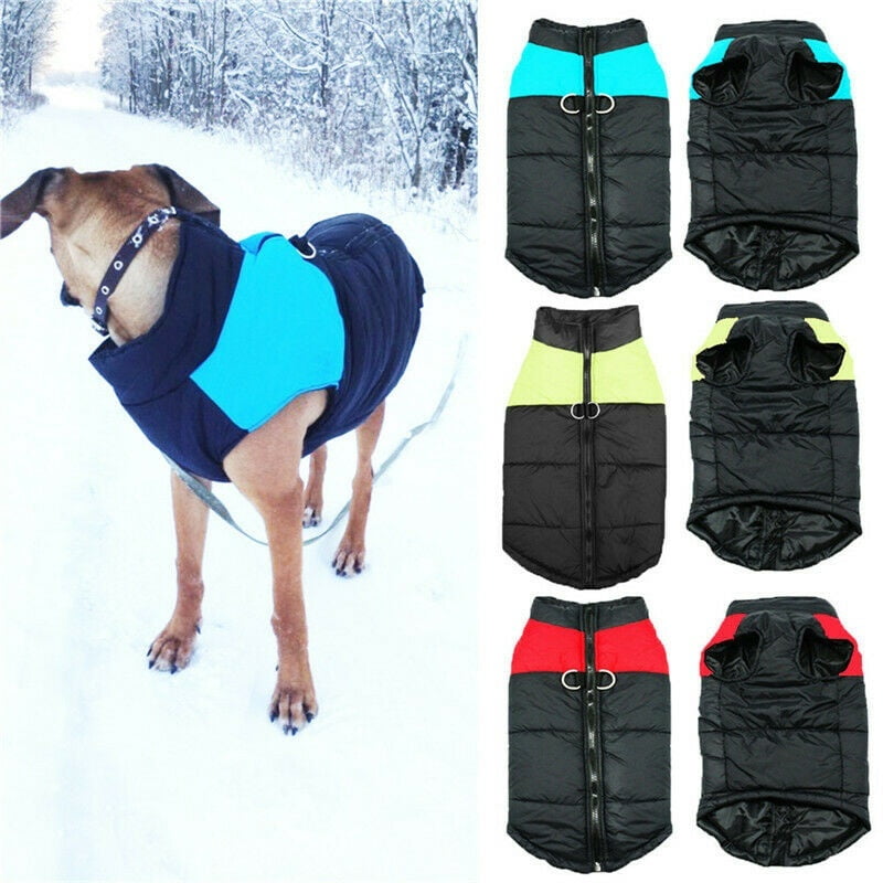 Dog outerwear online