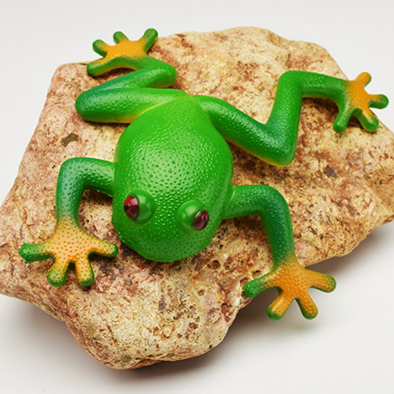Toymany Frog Figures Forest Animal Figurines, 10PCS Plastic Rubber  Realistic Rainforest Woodland Animals Toy Set 