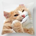 thumbnail image 4 of Cute Animal Pet Cat Dog Pattern Printed Soft Square Pillowslip Polyester Cushion Cover Pillowcase Living Room Home Decor QZX, 4 of 6