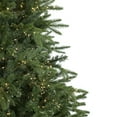 thumbnail image 5 of Northlight Clear Prelit Candlelight LED Green Hinged Fir Birch River Fir Artificial Christmas Tree, 7.5', 5 of 8