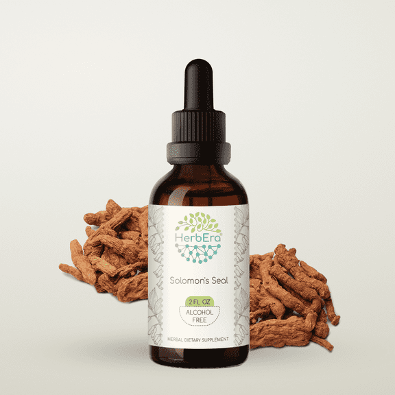 HerbEra Solomon's Seal Tincture, Herbal Dietary Supplement for Joint Support, Solomon's Seal (Polygonatum odoratum) Dried Root Extract, Natural, Alcohol-Free, Drops 2 oz