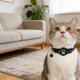 thumbnail image 5 of Collar inteligente para gatos con localizador electrónico «Find My», compatible con seguimiento en tiempo real, de silicona, ligero y ajustable para gatos pequeños y medianos, 5 of 5