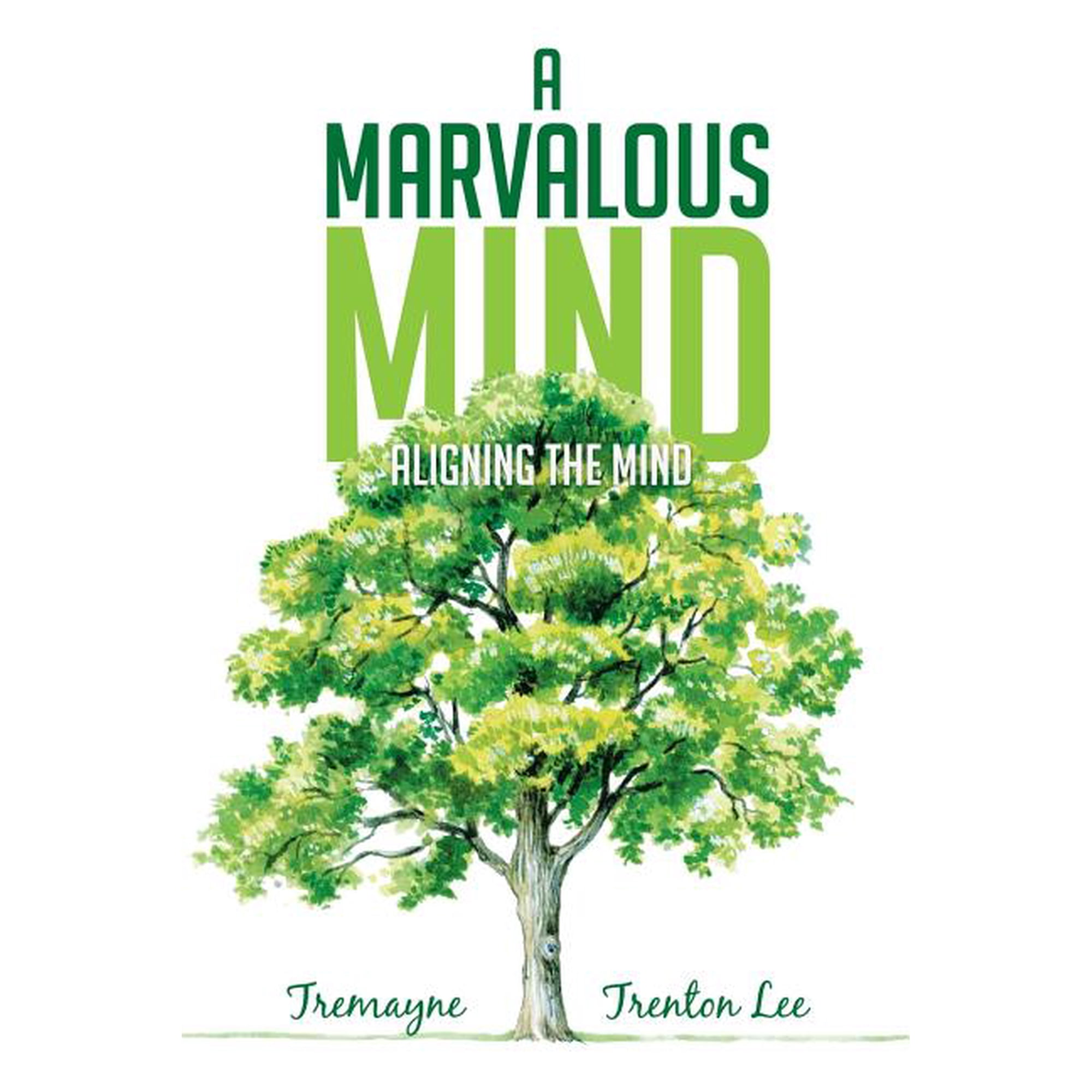 A Marvalous Mind: Aligning the Mind (Paperback)
