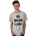 thumbnail image 4 of No Drama Llama Alpaca Chill Relaxed Men's Graphic T Shirt Tees Brisco Brands S, 4 of 6