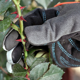 thumbnail image 4 of 1 par de guantes de jardinería para mujer, protectores de manos para protección contra espinas y rosas, 4 of 5