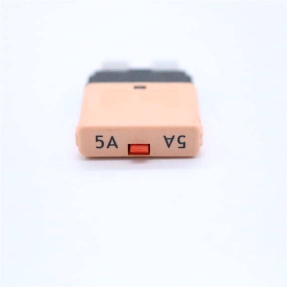 ETEREAUTY Resettable 5 Amp Circuit Breaker Fuse Brown with Color Coding for Low Voltage Wiring