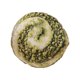 thumbnail image 2 of Puntoco Bread Pillow Plush toy Pie Doll Home Sofa Pillow Cushion Ragdoll, 2 of 2