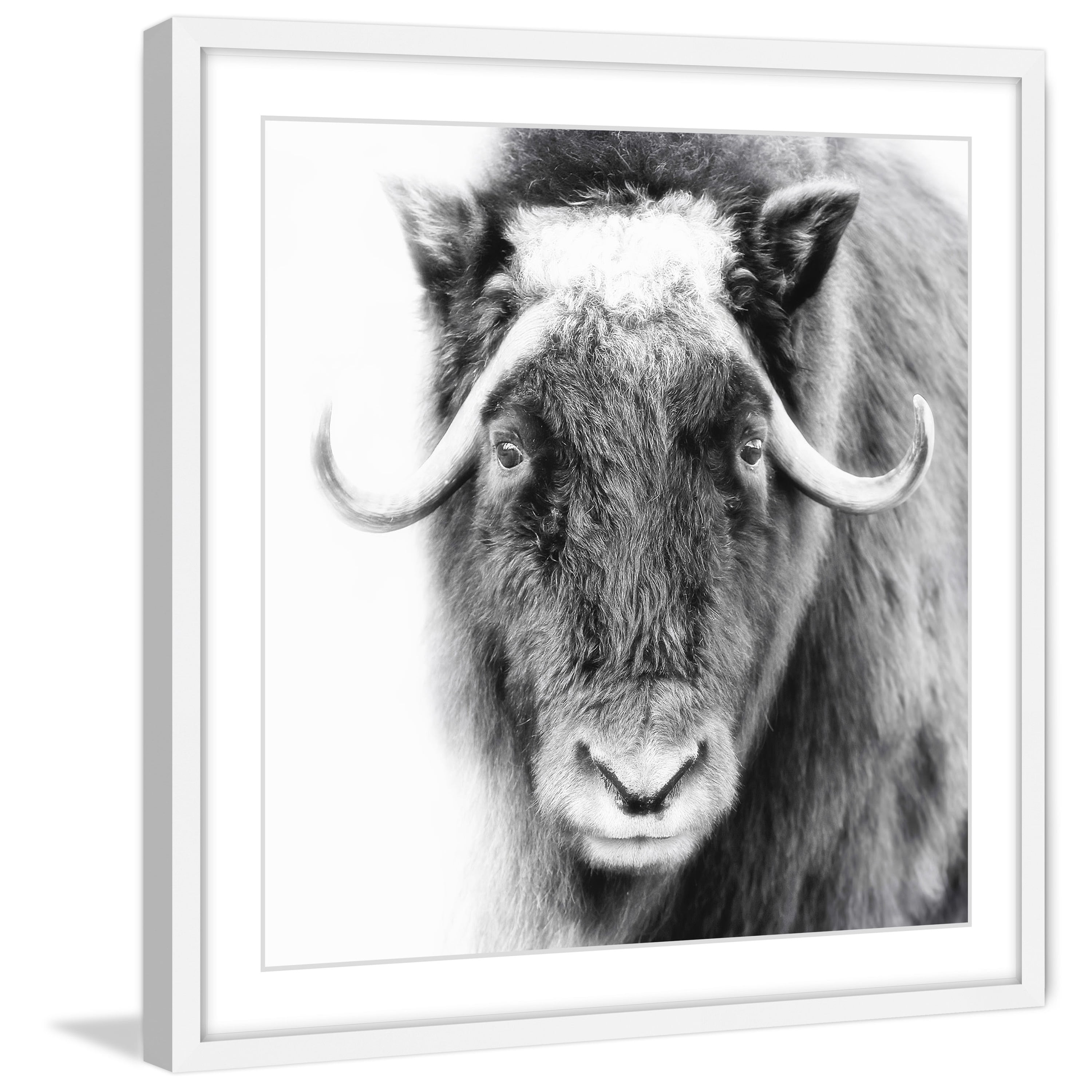 Marmont Hill "Look at Me" Framed Painting Print