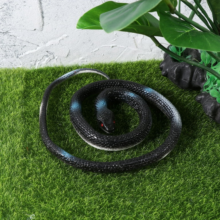 Plants That Attract Snakes | tunersread.com
