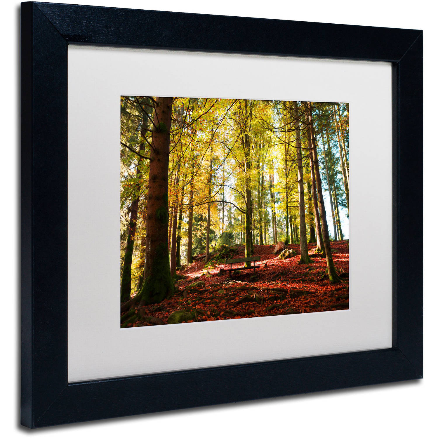 Trademark Fine Art "The Autumn Bench" Canvas Art by Philippe Sainte-Laudy White Matte, Black Frame