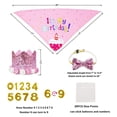 thumbnail image 2 of Pet birthday party outfit Birthday props Birthday towel birthday hat dress up - style2, 2 of 5
