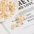 thumbnail image 1 of 50Pcs Natural Sea Shell Loose Beads Decor Diy Craft Pendant Jewelry Accessories, 1 of 6
